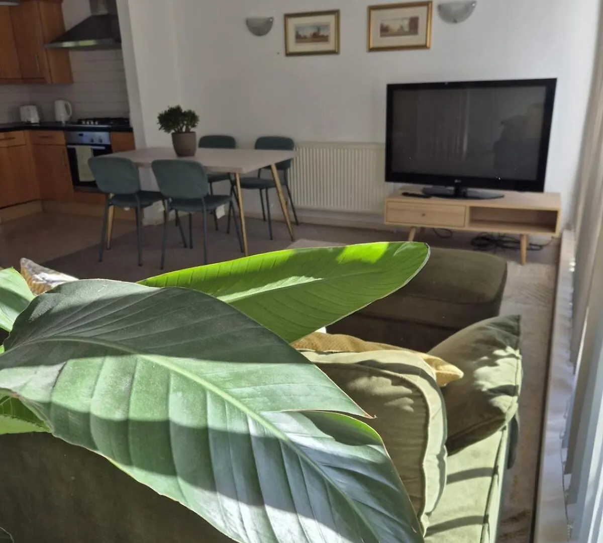 Eco House Brighton & Hove Villa